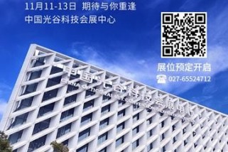 2020第十七屆“中國光谷”國際光電子博覽會(huì)暨論壇