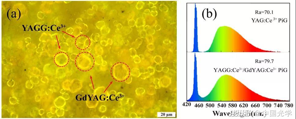 圖1：YAGG:Ce3?/GdYAG:Ce3?復(fù)合熒光玻璃的（a）微觀結(jié)構(gòu)及（b）與藍(lán)色激光組合的發(fā)射光譜