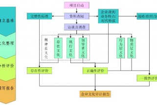 企業(yè)文化審計(jì)的操作流程