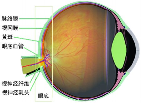 商報(bào)記者 吳大強(qiáng)